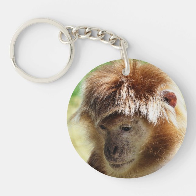 CUTE LITTLE MONKEY KEY RING (Front)