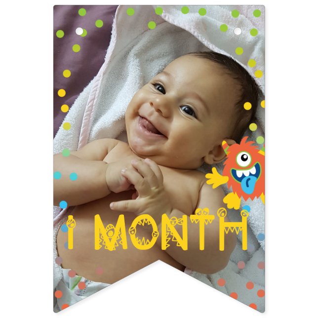 Cute little monster monthly photo birthday  bunting  (Third Flag)