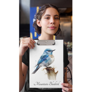 cute little mountain bluebird in watercolor clipboard