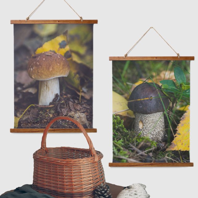 Cute little mushroom hanging tapestry (Creator Uploaded)