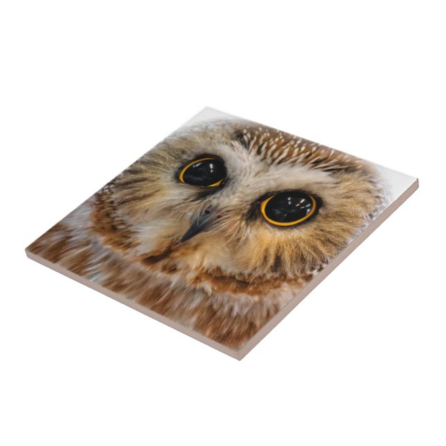 Cute Little Northern Saw Whet Owl Ceramic Tile (Side)