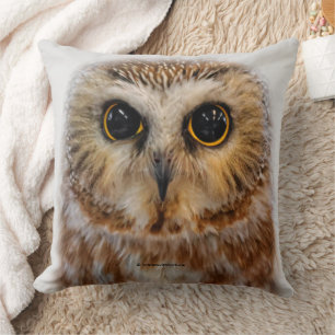 Cute Little Northern Saw Whet Owl Cushion