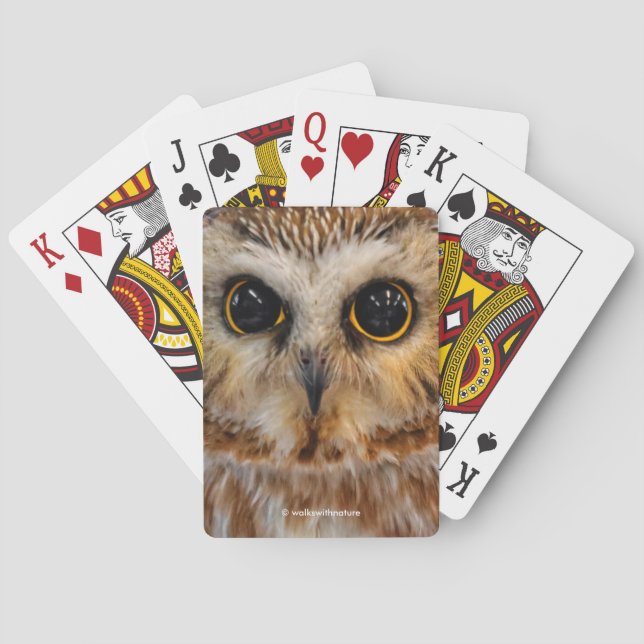 Cute Little Northern Saw Whet Owl Playing Cards (Back)