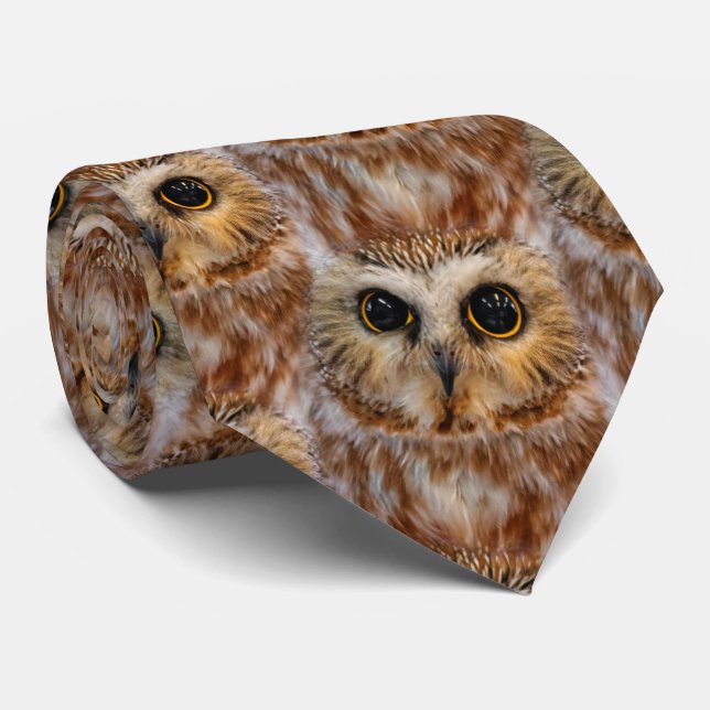 Cute Little Northern Saw Whet Owl Tie (Rolled)