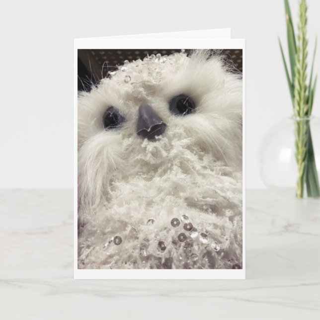 CUTE LITTLE OWL SAYS *MERRY CHRISTMAS TO YOU** CARD (Front)