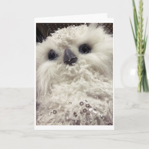 CUTE LITTLE OWL SAYS *MERRY CHRISTMAS TO YOU** CARD