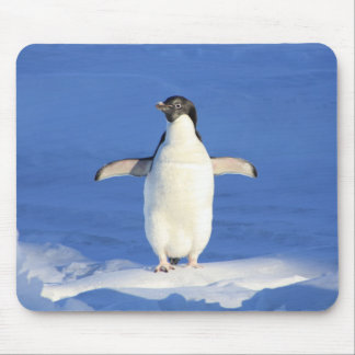 Cute Little Penguin Standing on the Ice Mouse Pad