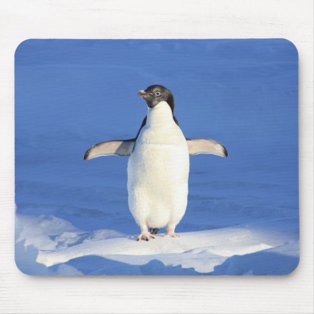Cute Little Penguin Standing on the Ice Mouse Pad (Front)