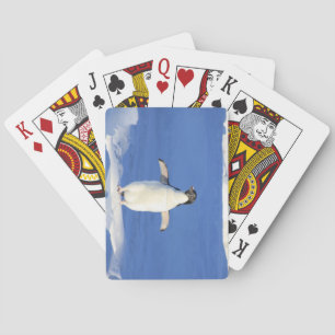 Cute Little Penguin Standing on the Ice Playing Cards