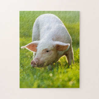Cute little Pig Jigsaw Puzzle