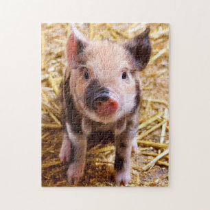 Cute Little Piglet Jigsaw Puzzle