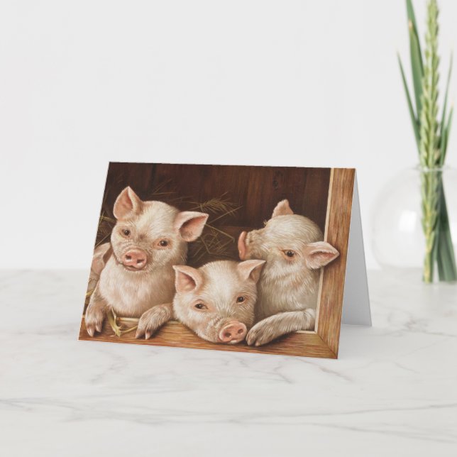 Cute little piglets in a barn at the farm card (Front)