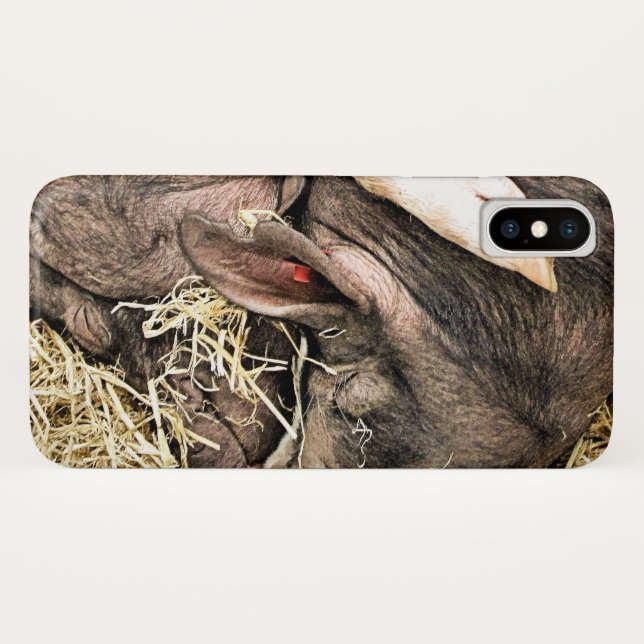 CUTE LITTLE PIGS Case-Mate iPhone CASE (Back (Horizontal))