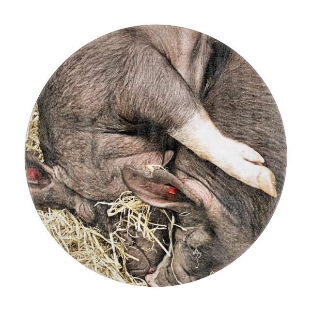 CUTE LITTLE PIGS CUTTING BOARD (Front)