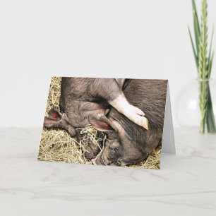 CUTE LITTLE PIGS NOTE CARD