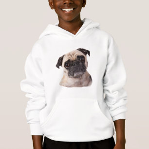cute little pug dog