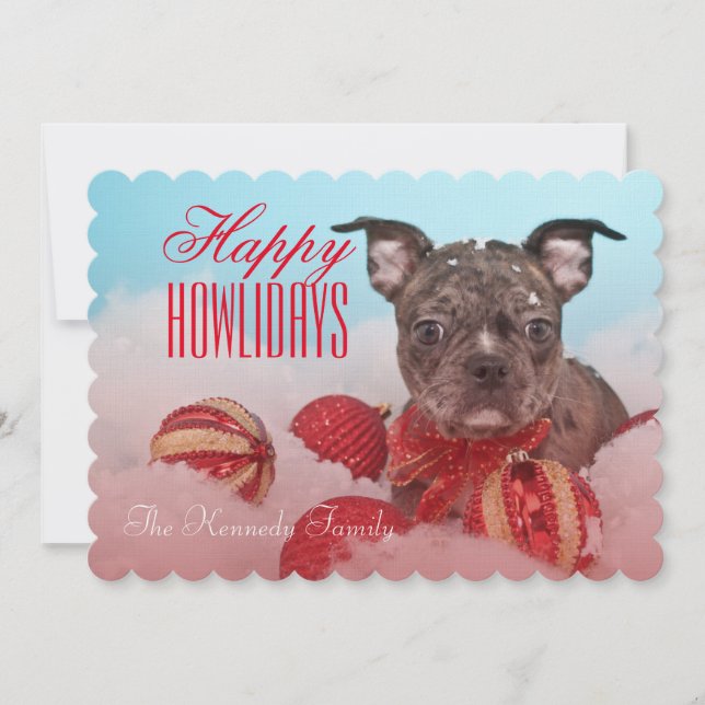 Cute Little Puppy (Front)