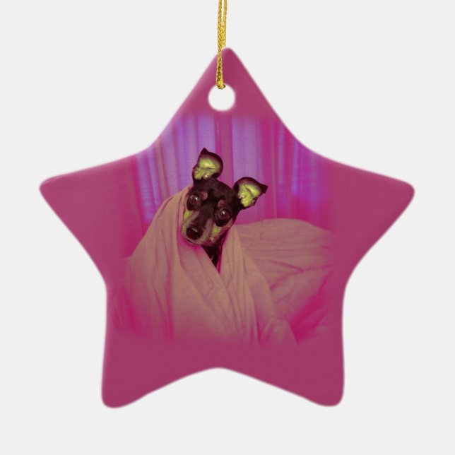 Cute little puppy ceramic tree decoration (Front)