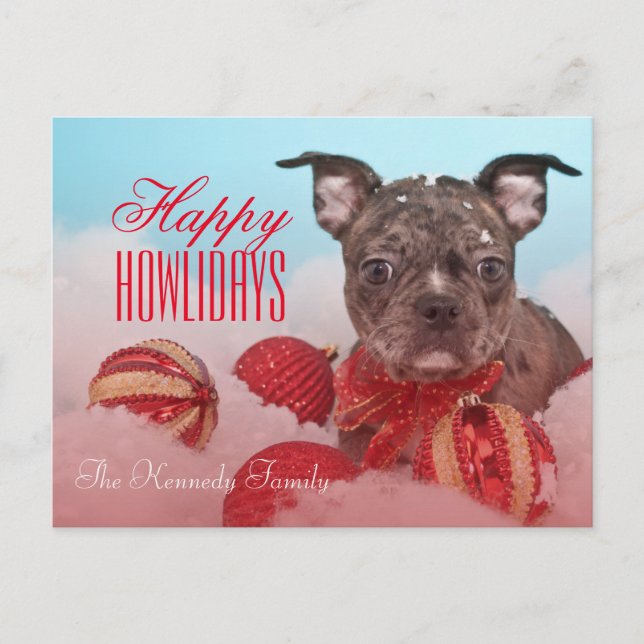 Cute Little Puppy Postcard (Front)