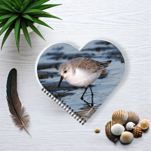 Cute Little Sanderling at the Beach Notebook