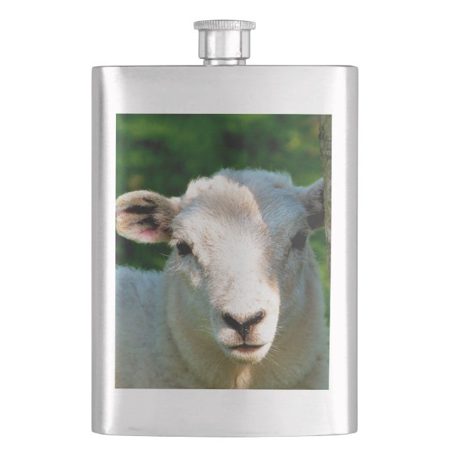 CUTE LITTLE SHEEP HIP FLASK (Front)