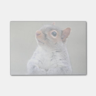 Cute Little Soft and Fluffy Grey Squirrel Post-it Notes