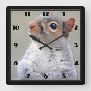 Cute Little Soft and Fluffy Grey Squirrel Square Wall Clock