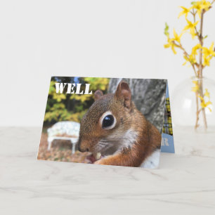Cute Little Squirrel Card