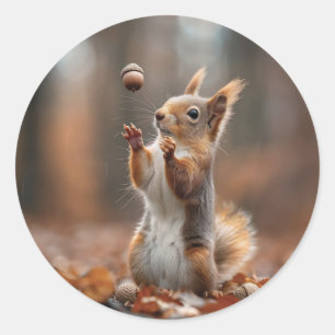Cute little squirrel catching an acorn classic round sticker