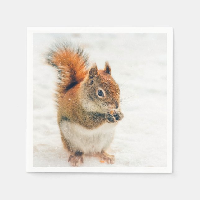 Cute Little Squirrel Eating Nuts Napkin (Front)
