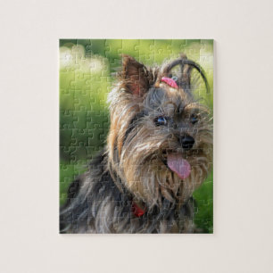 Cute Little Yorkshire Terrier Dog Jigsaw Puzzle