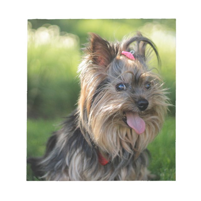 Cute Little Yorkshire Terrier Dog Notepad (Front)