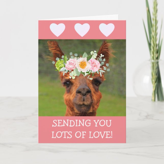 Cute Llama And Hearts Get Well Card (Front)