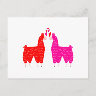 Cute Llama Couple Postcard