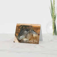 Cute Llama Face Farm Animal Thank You Card