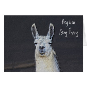 Cute Llama Face Humourous Birthday