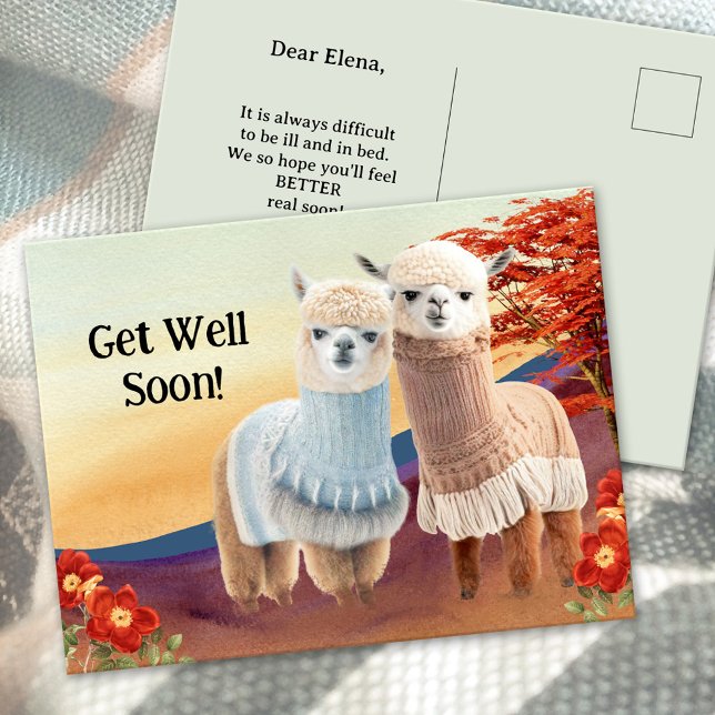 Cute Llama Get Well Soon Postcard (Creator Uploaded)