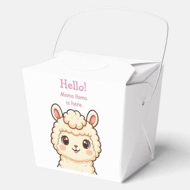 Cute llama illustration design favour box (Front)