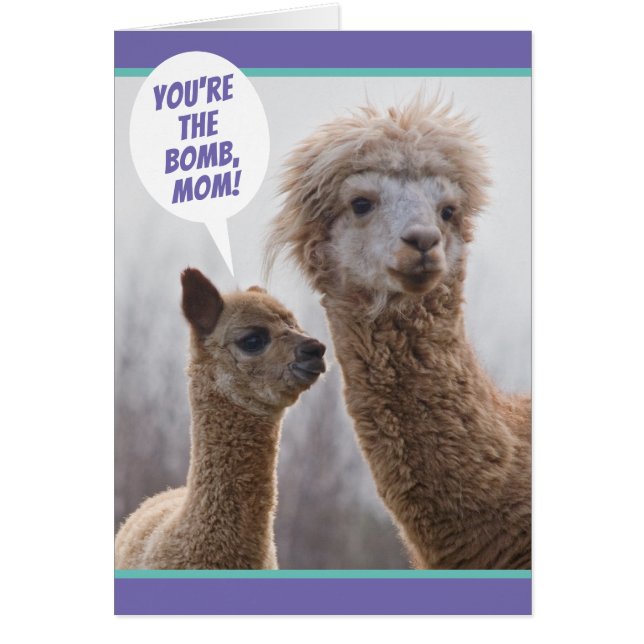 Cute Llama Just Like You Mother's Day Card (Front)