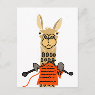 Cute Llama Knitting Cartoon Postcard