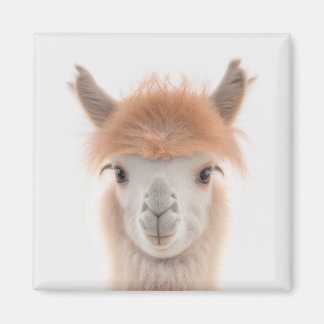 Cute Llama Magnet (Alpaca) | Collectable