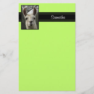 Cute Llama Personalised Stationery