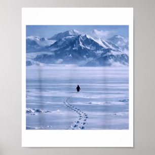 Cute Lone Penguin Walking Toward Mountain Poster