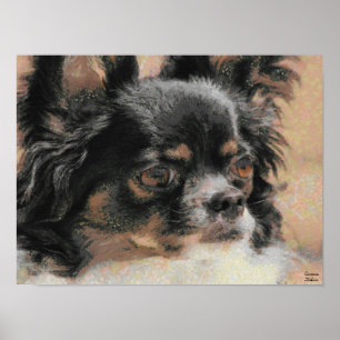 Cute Long Hair Chihuahua Poster Print