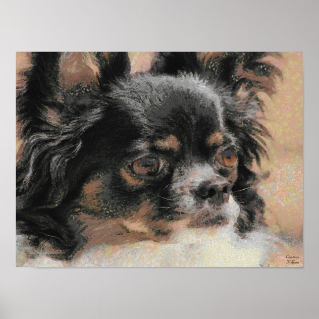 Cute Long Hair Chihuahua Poster Print (Front)