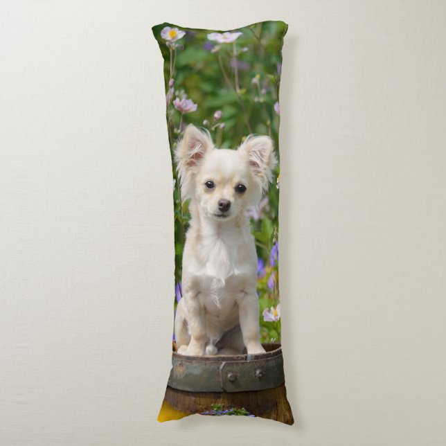 Cute long-haired cream Chihuahua Dog Puppy  cuddly Body Cushion (Front Vertical)