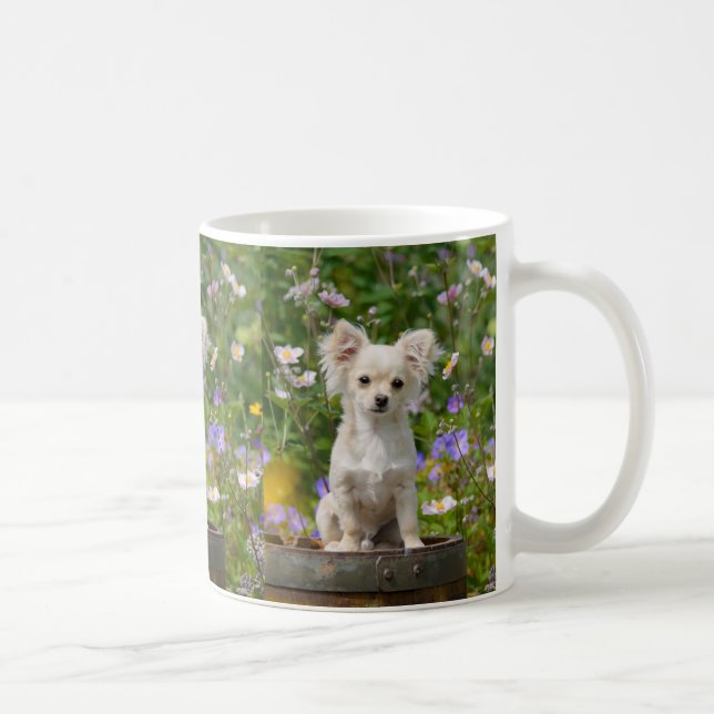 Cute long-haired cream Chihuahua Dog Puppy Photo _ Coffee Mug (Right)