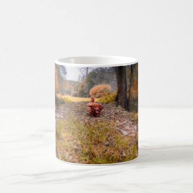 Cute long haired dachshund dog in the forest coffee mug (Center)