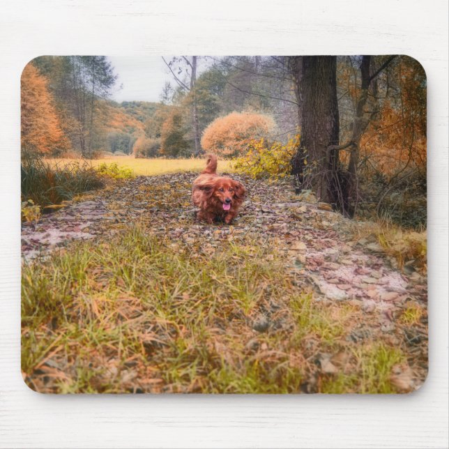 Cute long haired dachshund dog in the forest mouse pad (Front)