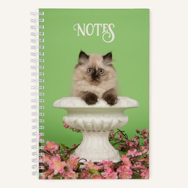 Cute Long-Haired Siamese Cat Notebook (Front)